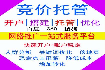 某电商平台的SEM广告投放策略及效果评估
